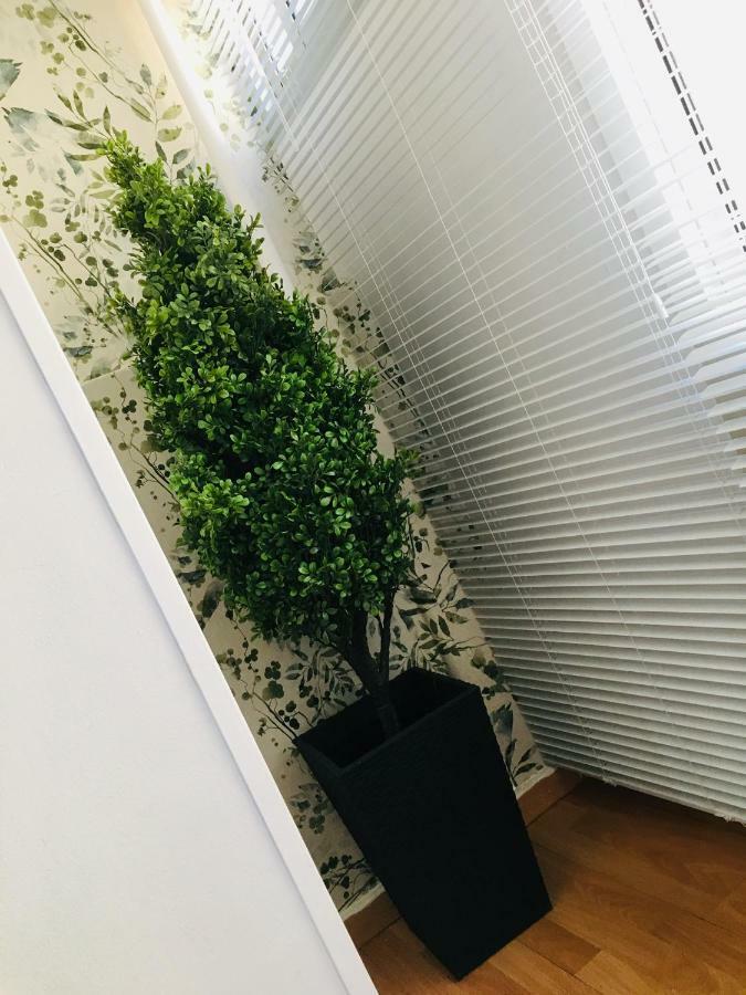 Apartamento Good Vibes Zaragoza Exterior photo